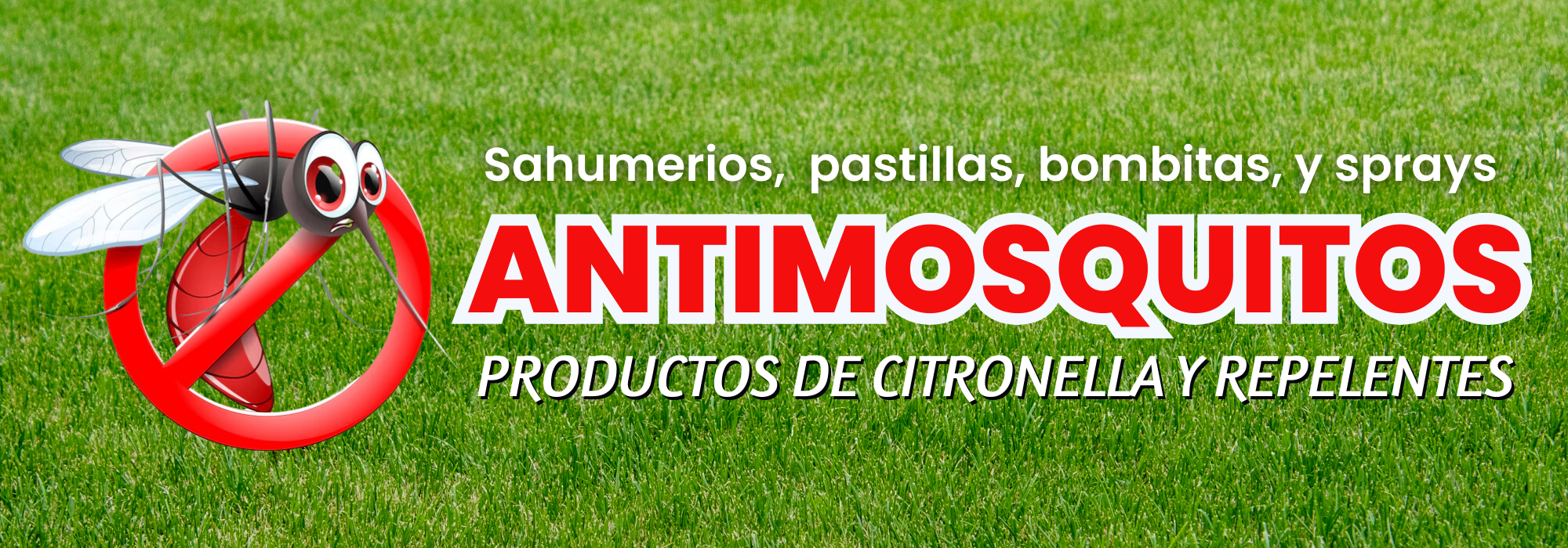 Banner principal 201