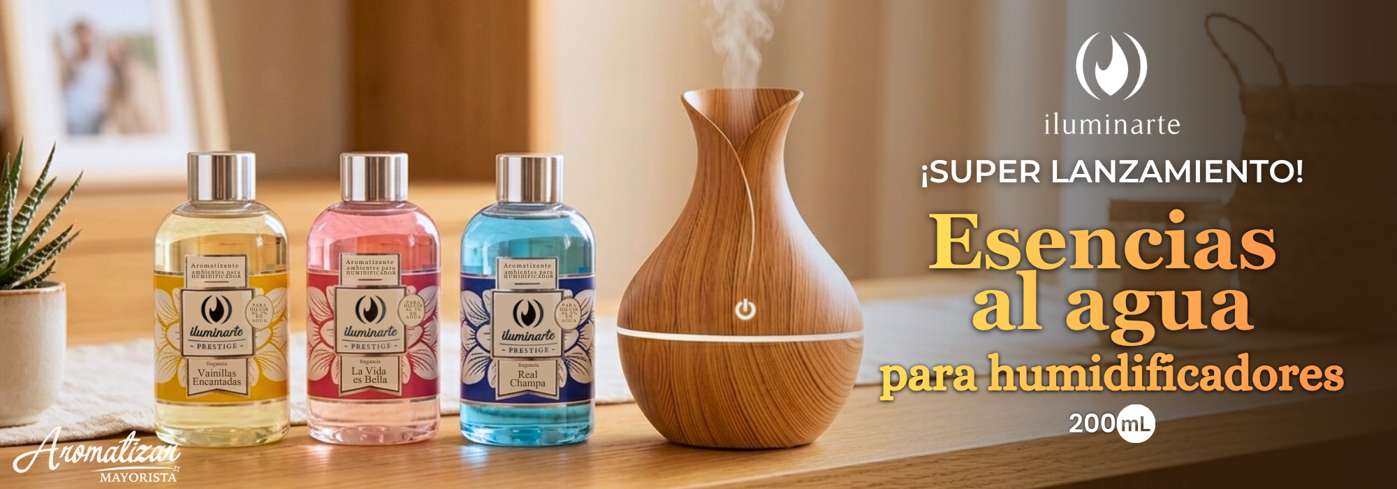 Banner principal 229